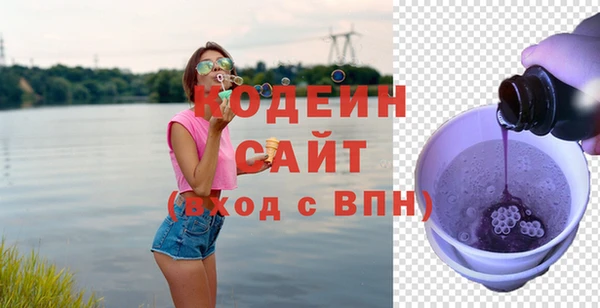 молекула духа Богородицк