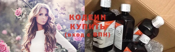 молекула духа Богородицк