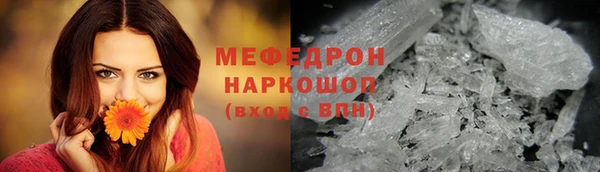 молекула духа Богородицк