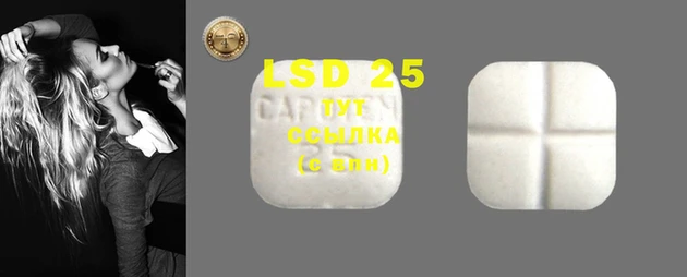 ECSTASY Каменка