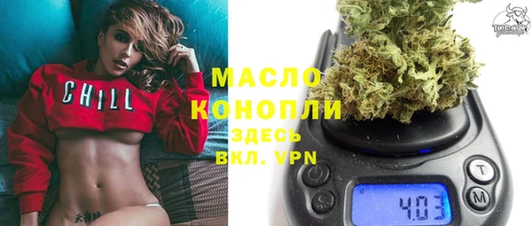 молекула духа Богородицк