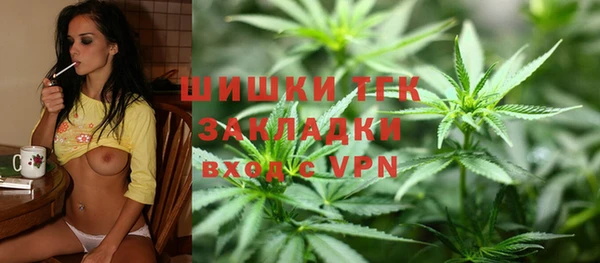 молекула духа Богородицк