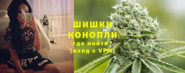 молекула духа Богородицк