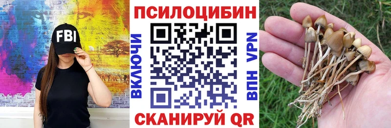 Псилоцибиновые грибы MAGIC MUSHROOMS  хочу   Кинешма 